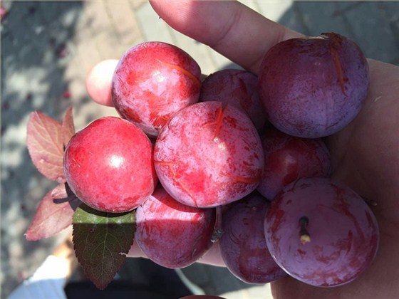 匯源塑膠-比賽活動(dòng)圖3