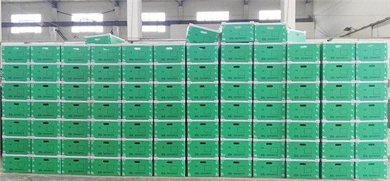 中空板周轉箱3 (2)